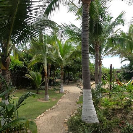 Ocean Oasis Hotel - Adult Only, Four Casitas Boutique Resort Agua Blanca Екстериор снимка