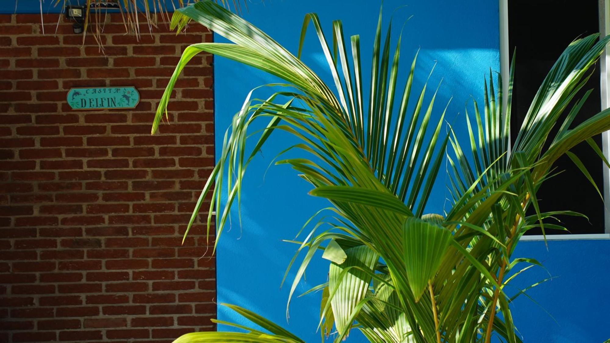 Ocean Oasis Hotel - Adult Only, Four Casitas Boutique Resort Agua Blanca Екстериор снимка
