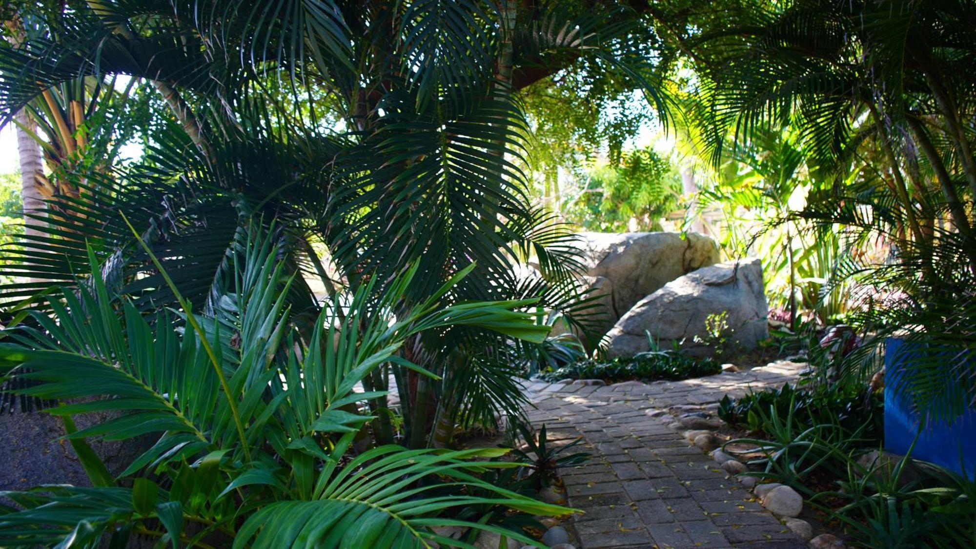 Ocean Oasis Hotel - Adult Only, Four Casitas Boutique Resort Agua Blanca Екстериор снимка