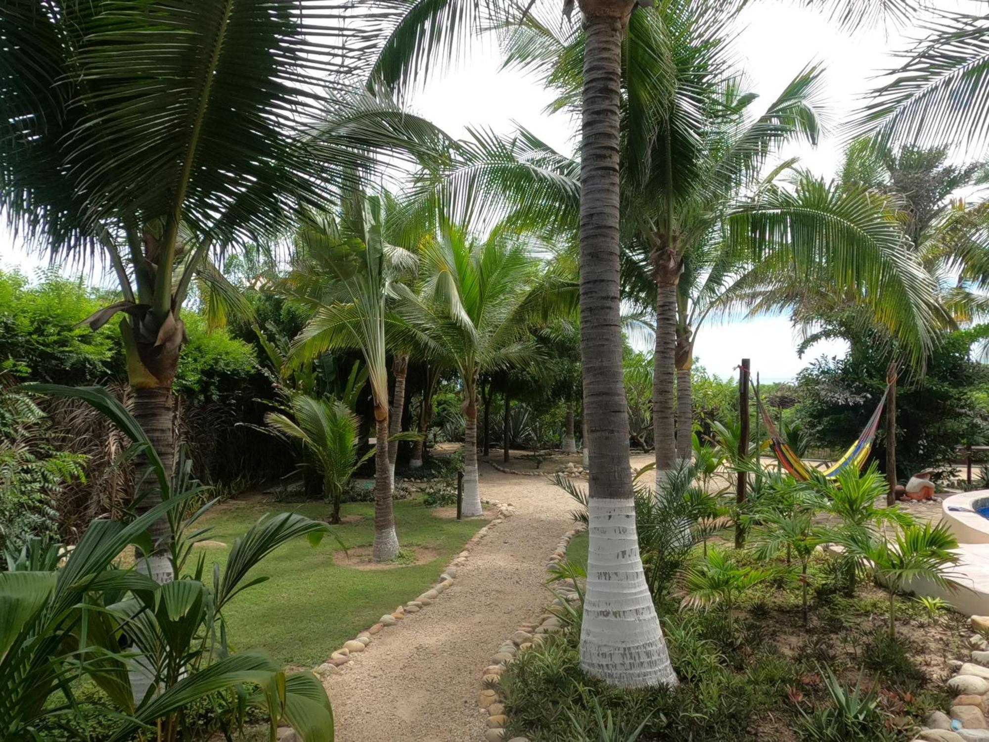Ocean Oasis Hotel - Adult Only, Four Casitas Boutique Resort Agua Blanca Екстериор снимка